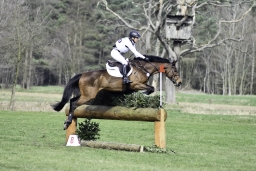 luhmuehlen-cci2-maerz-2019-211