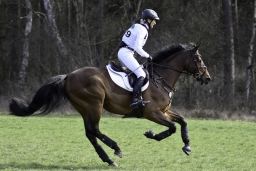 luhmuehlen-cci2-maerz-2019-213