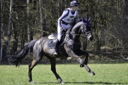 luhmuehlen-cci2-maerz-2019-214