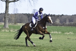luhmuehlen-cci2-maerz-2019-216