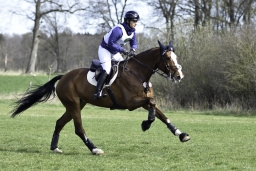 luhmuehlen-cci2-maerz-2019-217