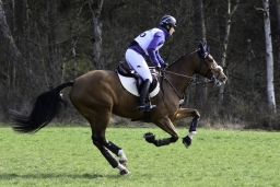 luhmuehlen-cci2-maerz-2019-219