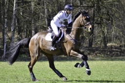 luhmuehlen-cci2-maerz-2019-220