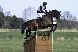 luhmuehlen-cci2-maerz-2019-221