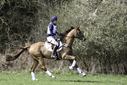 luhmuehlen-cci2-maerz-2019-223