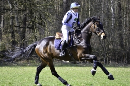 luhmuehlen-cci2-maerz-2019-225