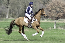 luhmuehlen-cci2-maerz-2019-226