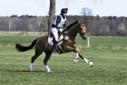 luhmuehlen-cci2-maerz-2019-230