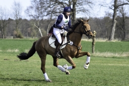 luhmuehlen-cci2-maerz-2019-231