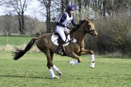 luhmuehlen-cci2-maerz-2019-232