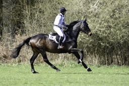 luhmuehlen-cci2-maerz-2019-234