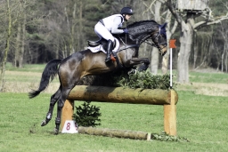 luhmuehlen-cci2-maerz-2019-235