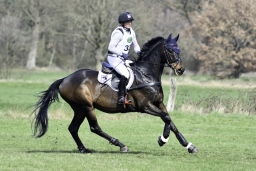 luhmuehlen-cci2-maerz-2019-236