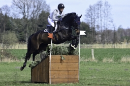 luhmuehlen-cci2-maerz-2019-237