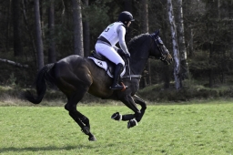 luhmuehlen-cci2-maerz-2019-239