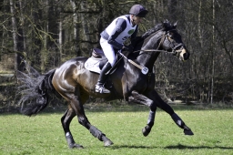 luhmuehlen-cci2-maerz-2019-240