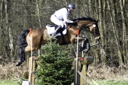 luhmuehlen-cci2-maerz-2019-241