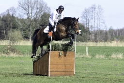 luhmuehlen-cci2-maerz-2019-243