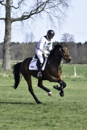 luhmuehlen-cci2-maerz-2019-244