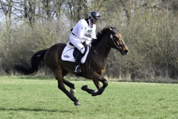 luhmuehlen-cci2-maerz-2019-245