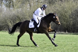 luhmuehlen-cci2-maerz-2019-246