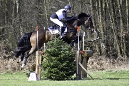 luhmuehlen-cci2-maerz-2019-250