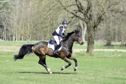 luhmuehlen-cci2-maerz-2019-251