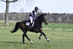 luhmuehlen-cci2-maerz-2019-253