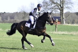luhmuehlen-cci2-maerz-2019-254