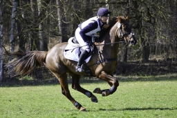 luhmuehlen-cci2-maerz-2019-255