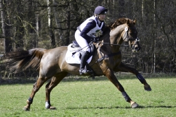 luhmuehlen-cci2-maerz-2019-256