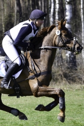 luhmuehlen-cci2-maerz-2019-257