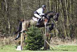 luhmuehlen-cci2-maerz-2019-258