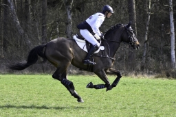 luhmuehlen-cci2-maerz-2019-261