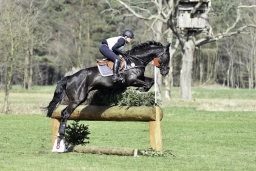 luhmuehlen-cci2-maerz-2019-264