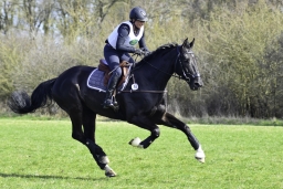 luhmuehlen-cci2-maerz-2019-269