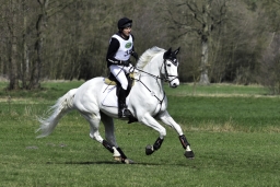 luhmuehlen-cci2-maerz-2019-270