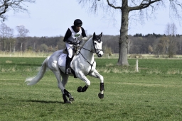 luhmuehlen-cci2-maerz-2019-272
