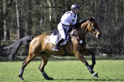 luhmuehlen-cci2-maerz-2019-280
