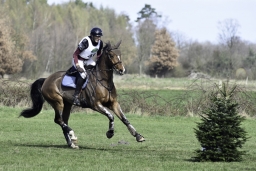 luhmuehlen-cci2-maerz-2019-282