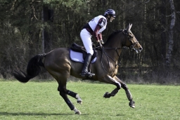 luhmuehlen-cci2-maerz-2019-285