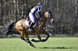 luhmuehlen-cci2-maerz-2019-286