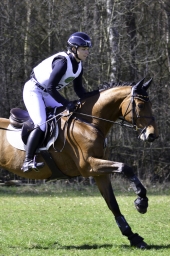 luhmuehlen-cci2-maerz-2019-287