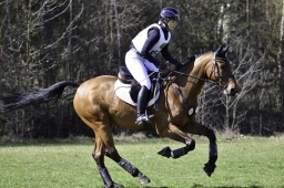 luhmuehlen-cci2-maerz-2019-288