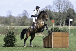 luhmuehlen-cci2-maerz-2019-291