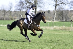 luhmuehlen-cci2-maerz-2019-293
