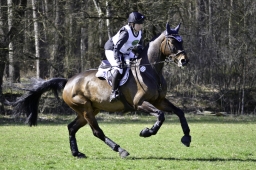 luhmuehlen-cci2-maerz-2019-294