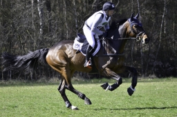 luhmuehlen-cci2-maerz-2019-300