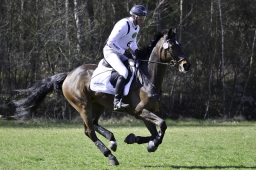 luhmuehlen-cci2-maerz-2019-301