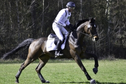luhmuehlen-cci2-maerz-2019-302